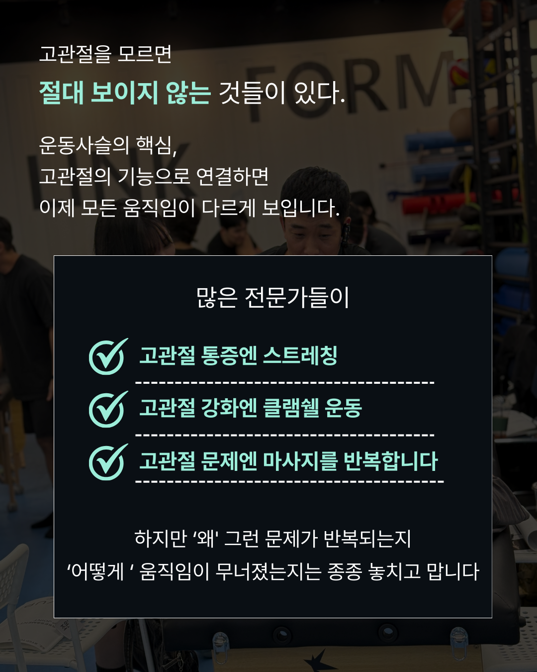 RTS - Hip Joint 코스 2기 (2026.04.04) 얼리버드 혜택